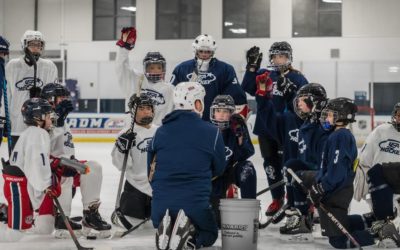 Taking a Holistic Approach.