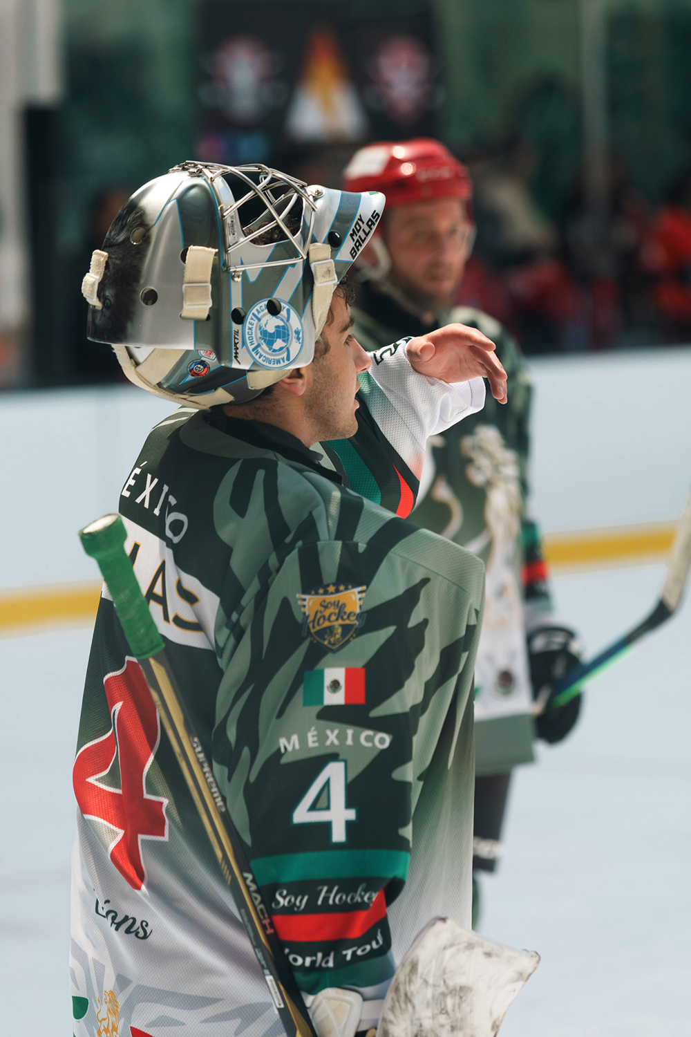 Puck-Protection